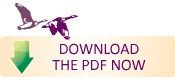 Download The PDF Now